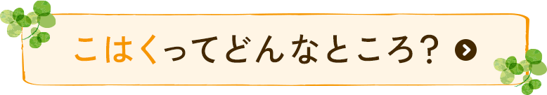 こはくってどんなところ？